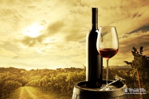 Vineyards-Wine-1050x700