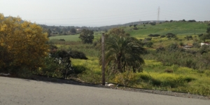 GE-Moni1020Land-FromRoad-1000x500-1970