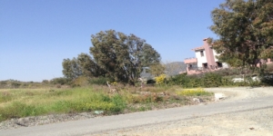 GE-Pareklisia49Land-Corner-1000x500-1867