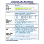SSV-FCO-RoughD201-WebOnly-SSV-Co-DateSent-YS-Ceo-YS9999